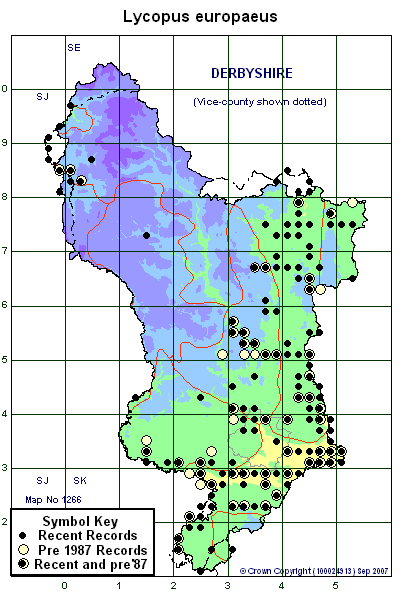 2 kilometre map image
